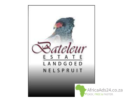 Bateleur Estate