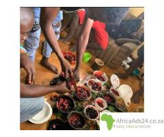 The most powerful spi****** herbalist native doctor in Nigeria ****9169497945
