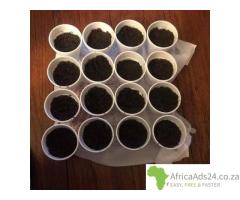 The best powerful spi****** herbalist native doctor in Africa****8051831932