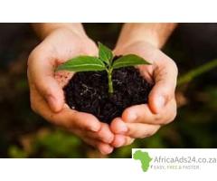 Business and personal Loans for South African