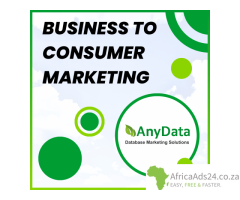 Business to Consumer Marketing | Any Data