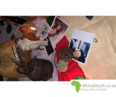 Lost Love *****s in Sydney, Melbourne, Brisbane +256700968783