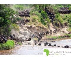 Tanzania Experience Safari Tours